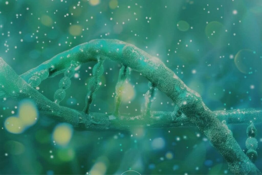 Genes y ambiente influyen en los telómeros, el envejecimiento y la salud celular
